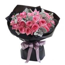 Elegant Rose Elegant Rose