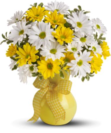 White and yellow daisies vase product991